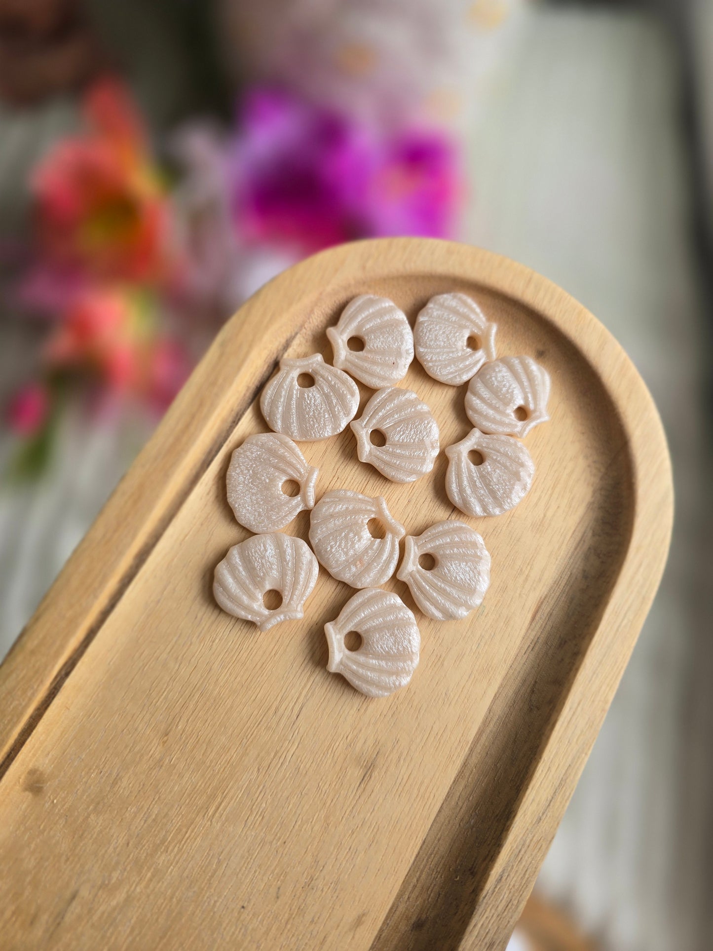 Coquillage - nacré beige 🌼