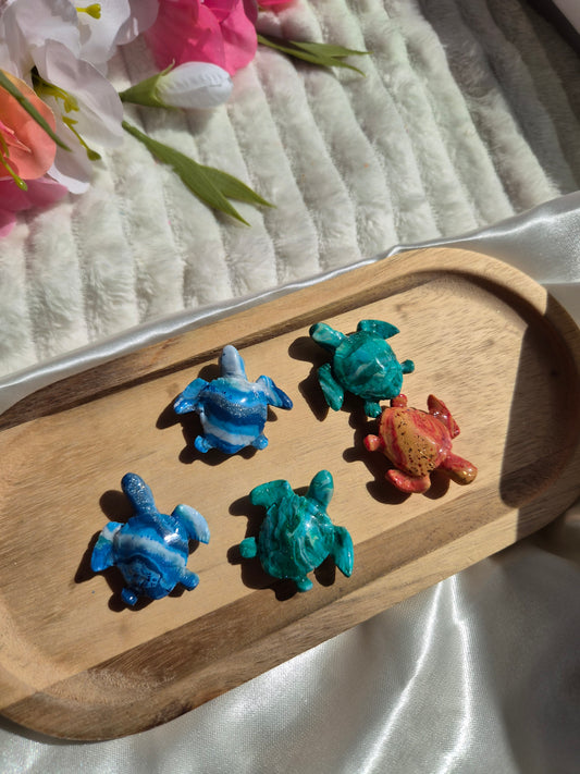 Aimant tortue